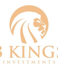 3 KINGS INVESTMENTS LIMITED