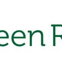 Green Root Tea