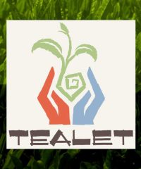 Tealet
