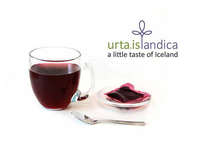 Urta Islandica
