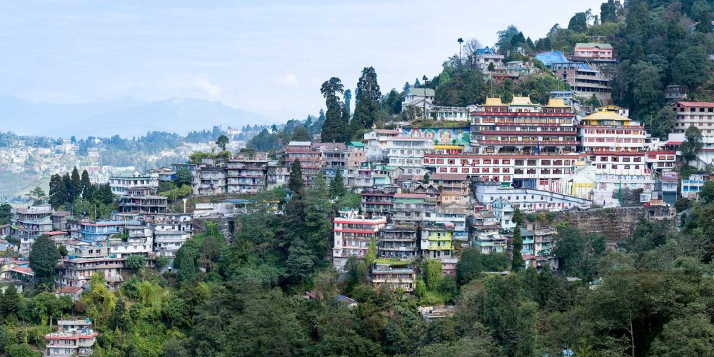 Protests in India: Is it the End for Darjeeling Tea?