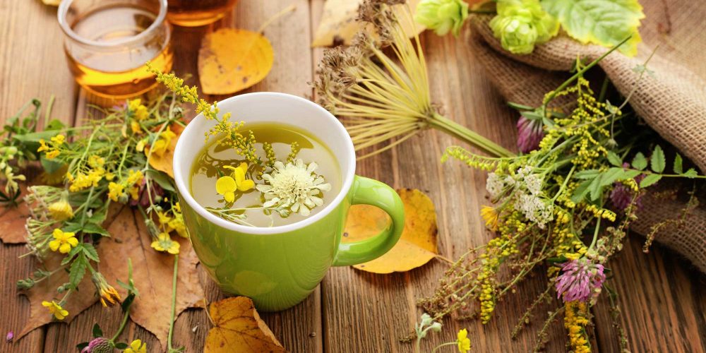 A Step by Step Guide on How to Brew Tea