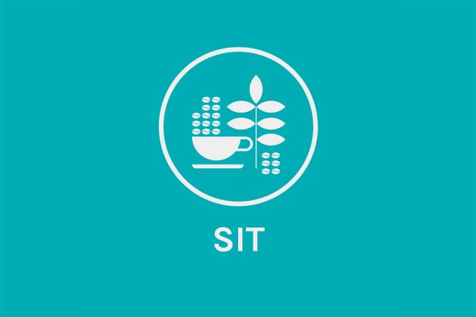 SteepedinTea