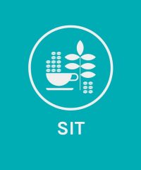 SteepedinTea