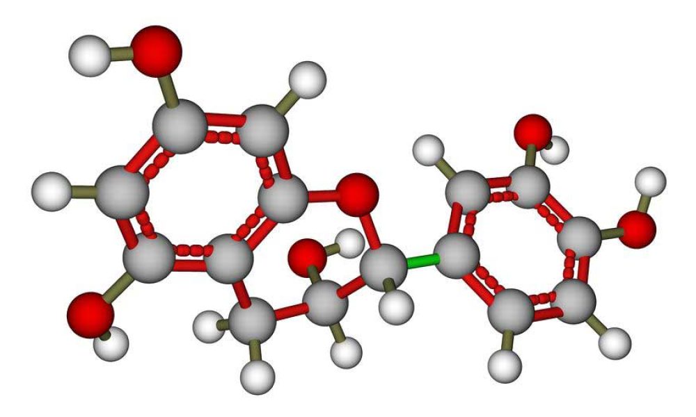 Tea DNA