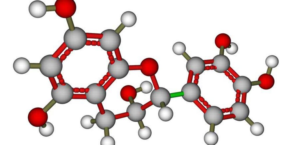 Understanding Tea DNA – A Major Breakthrough for the Tea Industry